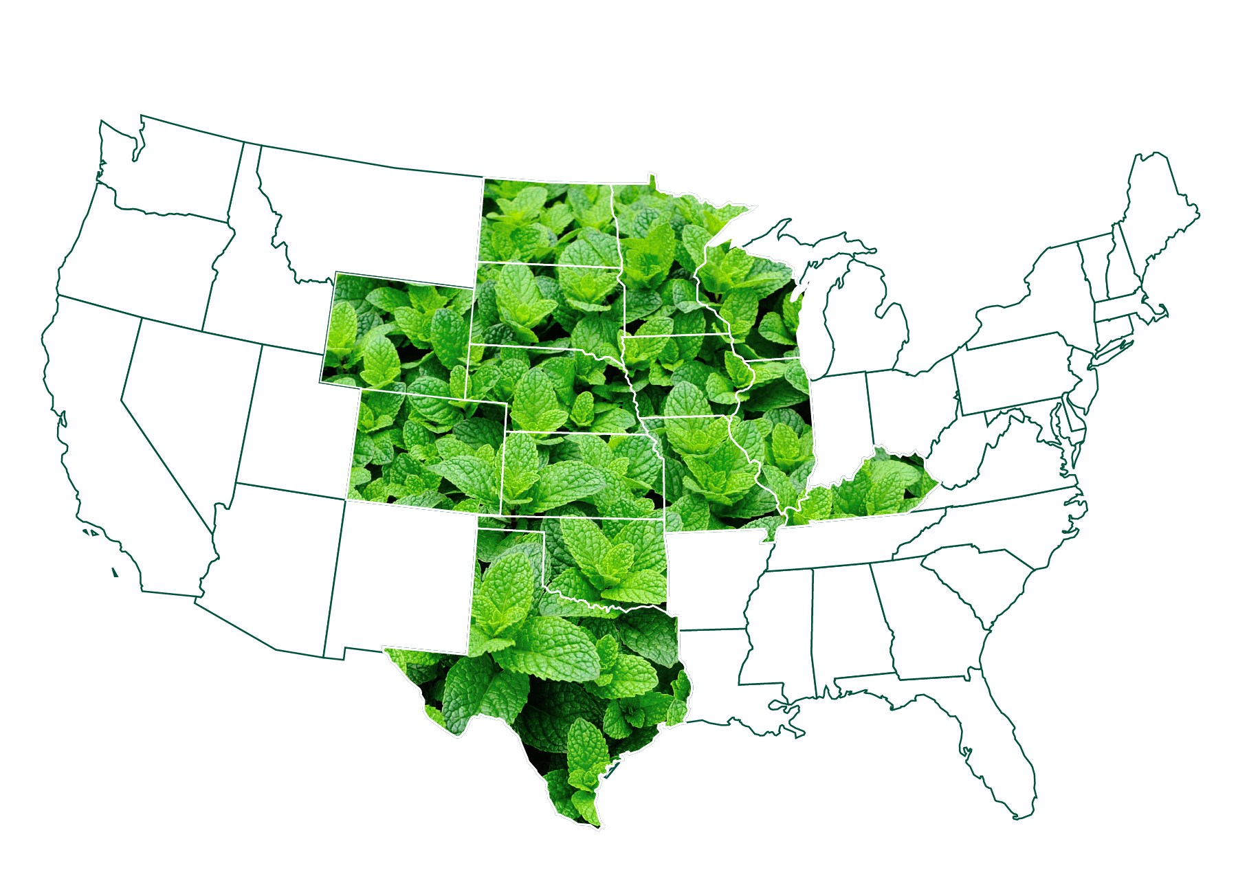 US Map